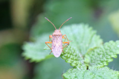 朝日に向かって