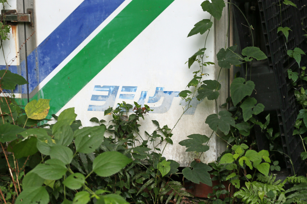 真心～のヨシケイ♬