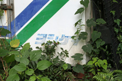 真心～のヨシケイ♬