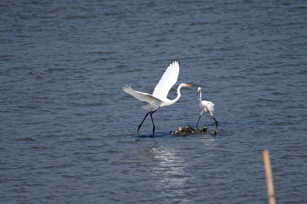 ねえキスしてよ