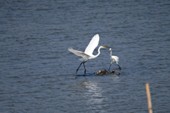 ねえキスしてよ