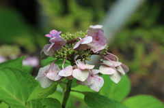 お疲れ様でした