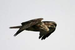 食べ過ぎでしょその2