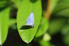 日差しを浴びて