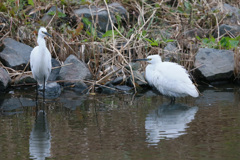 寒いよ～少しくらい我慢しなさい