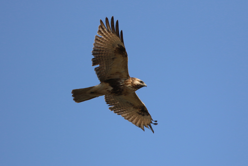 日差しを浴びて