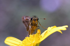 今日の元気におはよう～