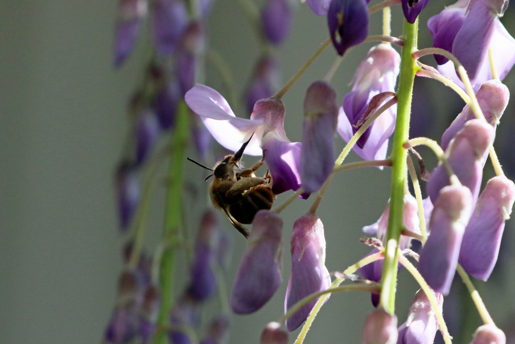 日差しを浴びて