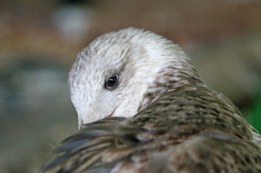 ちょっと恥ずかし