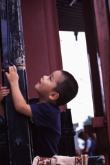 ぼうず頭にあってるよ