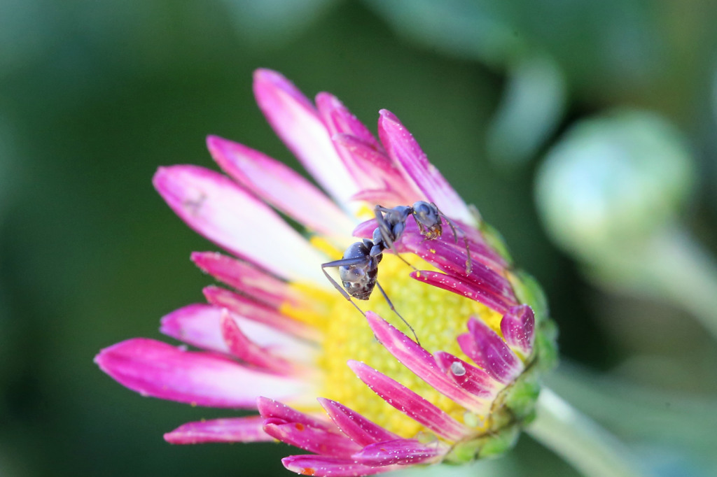 あ～うまかった