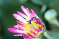 あ～うまかった