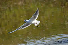 日差しを浴びて