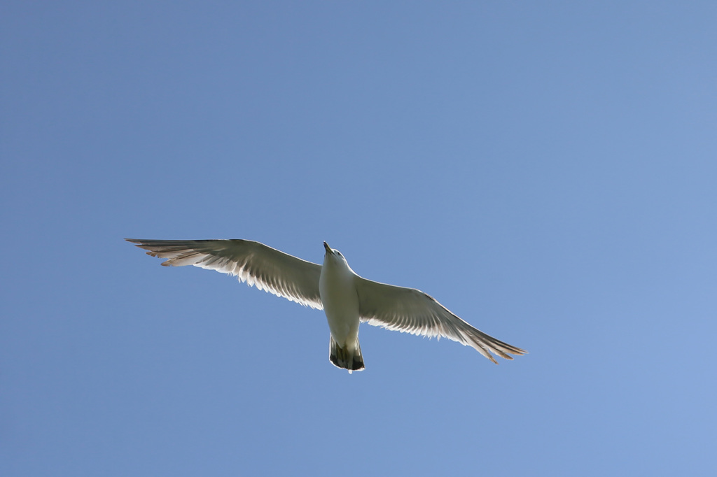 日差しを浴びて