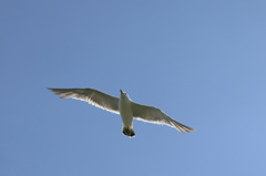 日差しを浴びて