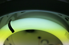 盛大なフリッカー