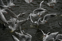 ぼくのパンだけん