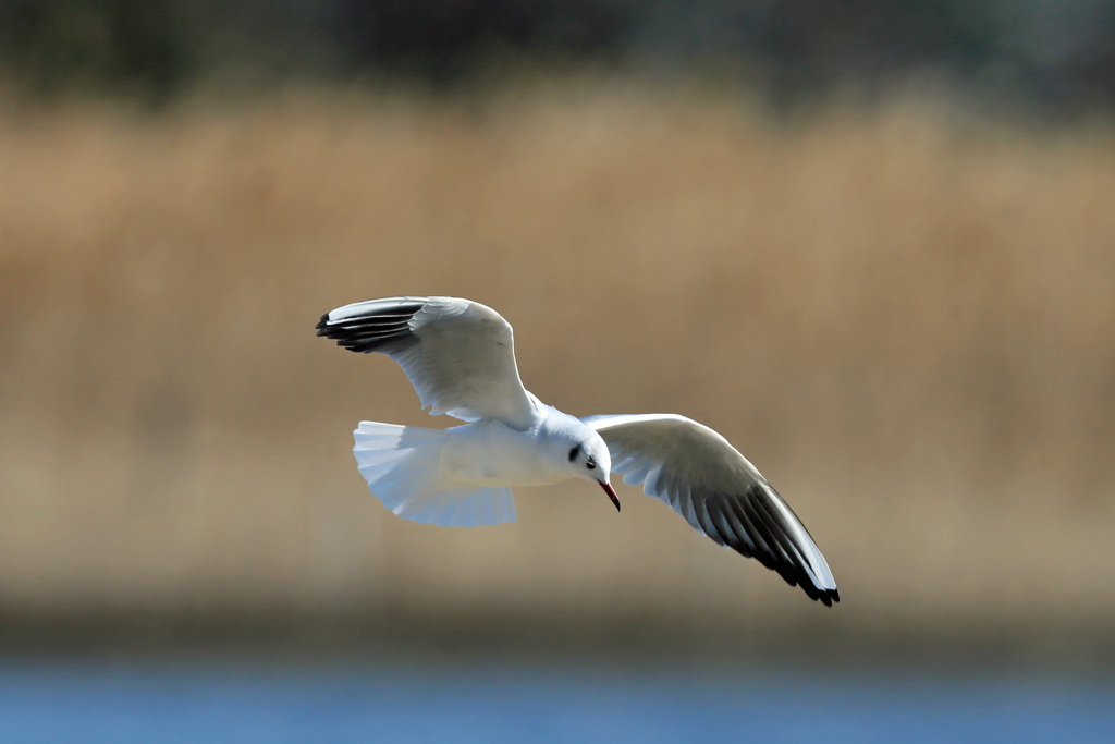 ちょっと下向く