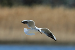 ちょっと下向く