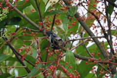 可愛いモデルさん