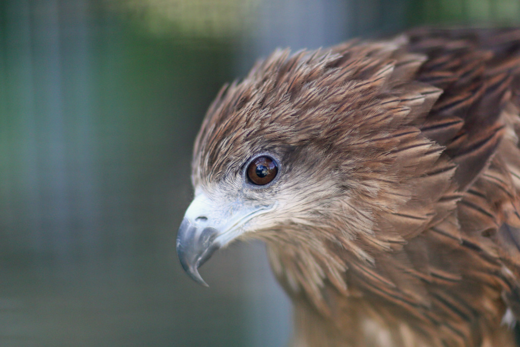 ポートレート-3