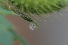 水滴の中に足場板