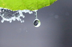 隣の家が写ってる