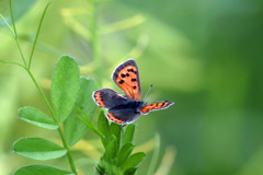 止まってますよ～