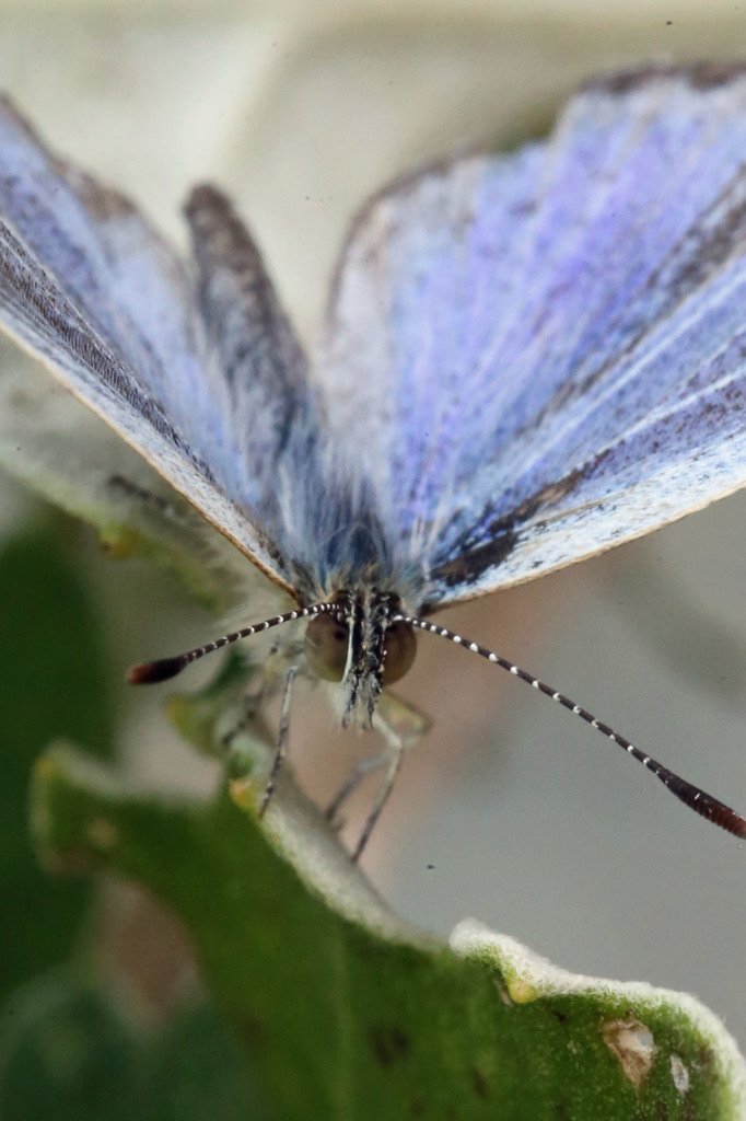 こっち見て、は～い