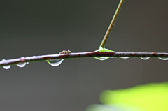 雨やんだので働きに行くよ