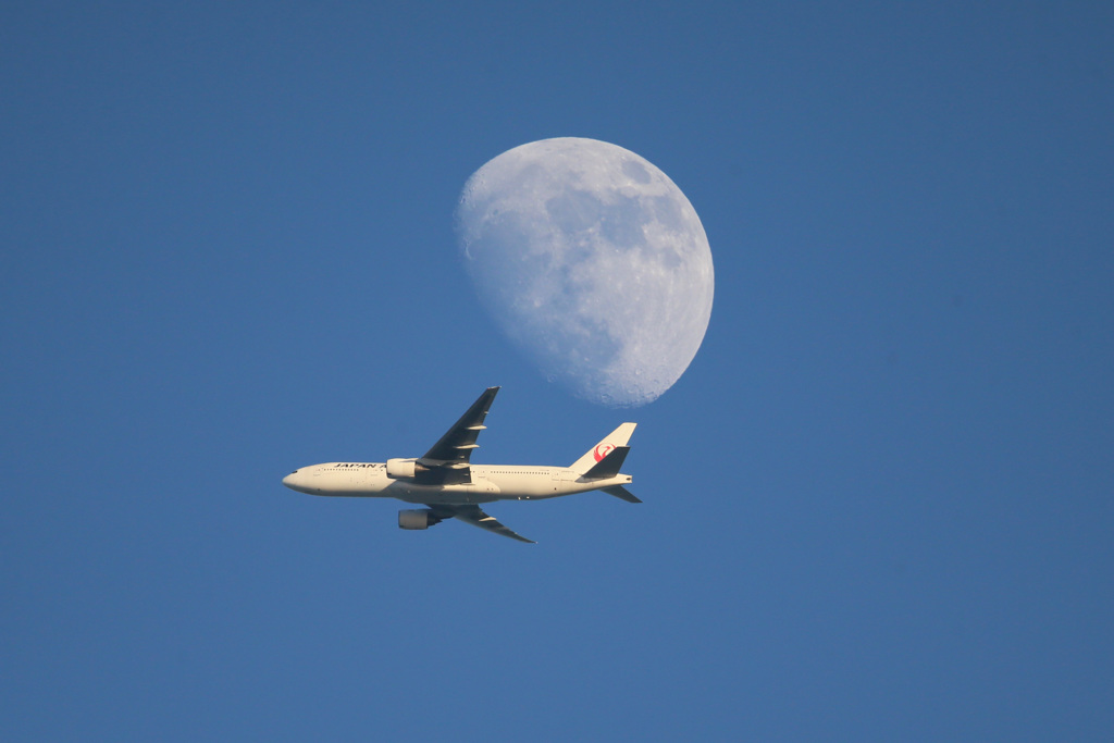 たまには撮ります飛行機写真