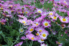 毎日お世話なっております-1