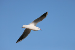 日差しを浴びて