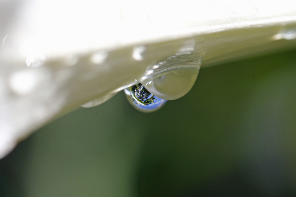 水滴の中に青空が