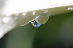 水滴の中に青空が