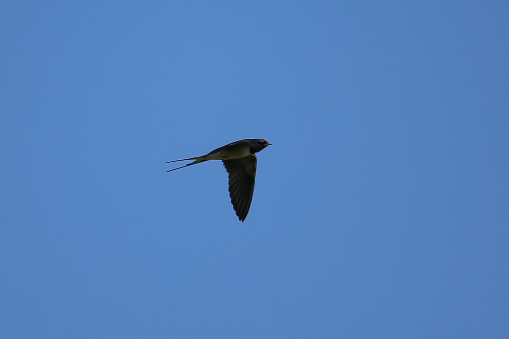 ちょっと上昇中