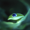 蒼い水滴
