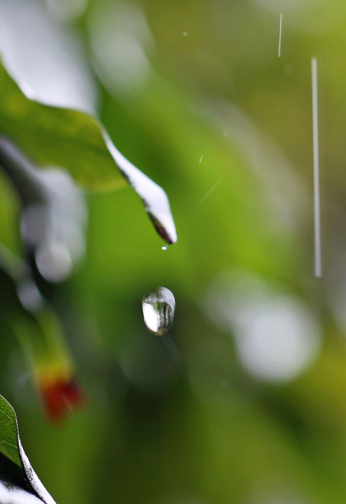 雨垂れ