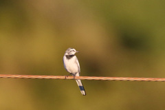 もうすぐ冬です