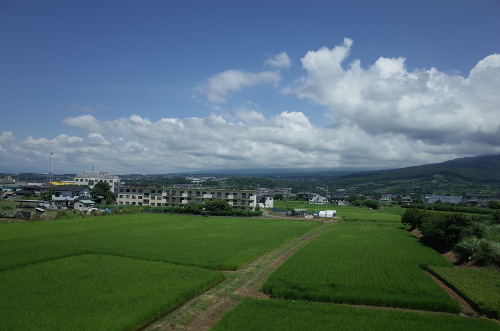 あぜ道