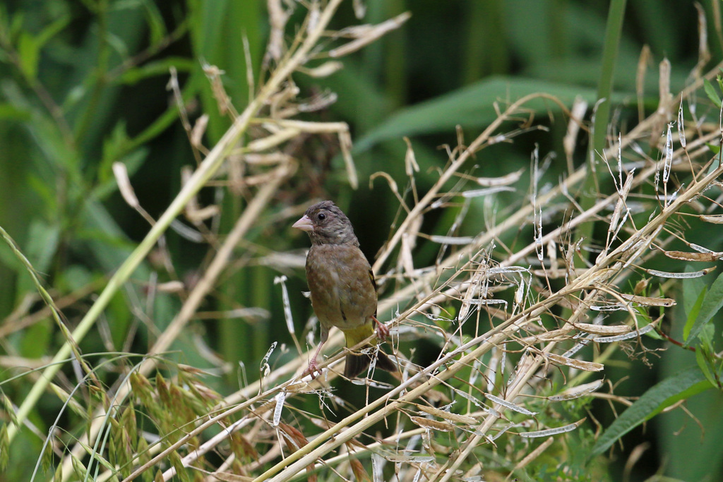 ビックリした～