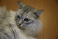 少々怒ってる？