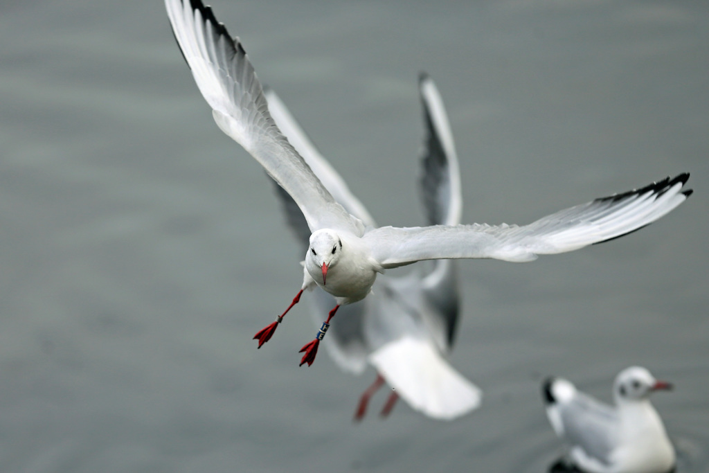 正面シリーズ-5