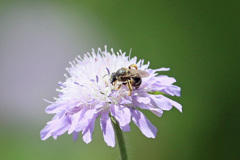 あなたはどなた