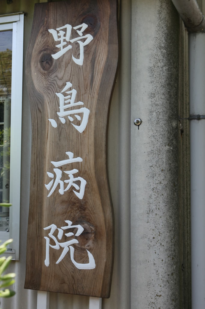 優しい人がいっぱい