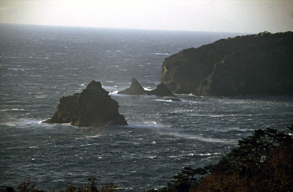 冬の伊豆半島
