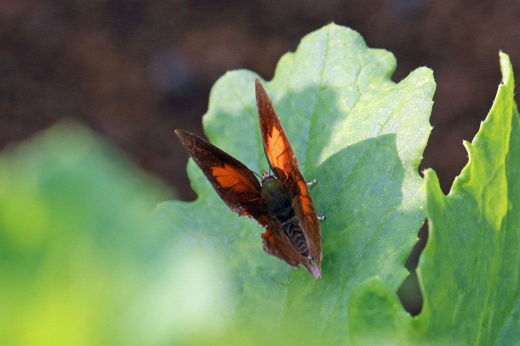 もう少し開いてね