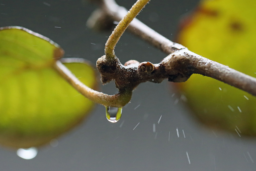 水飛沫