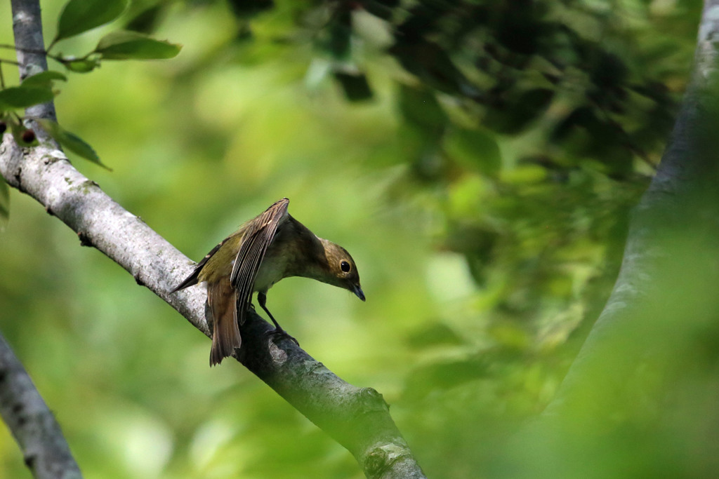 そ～とのぞいて見てごらん♬