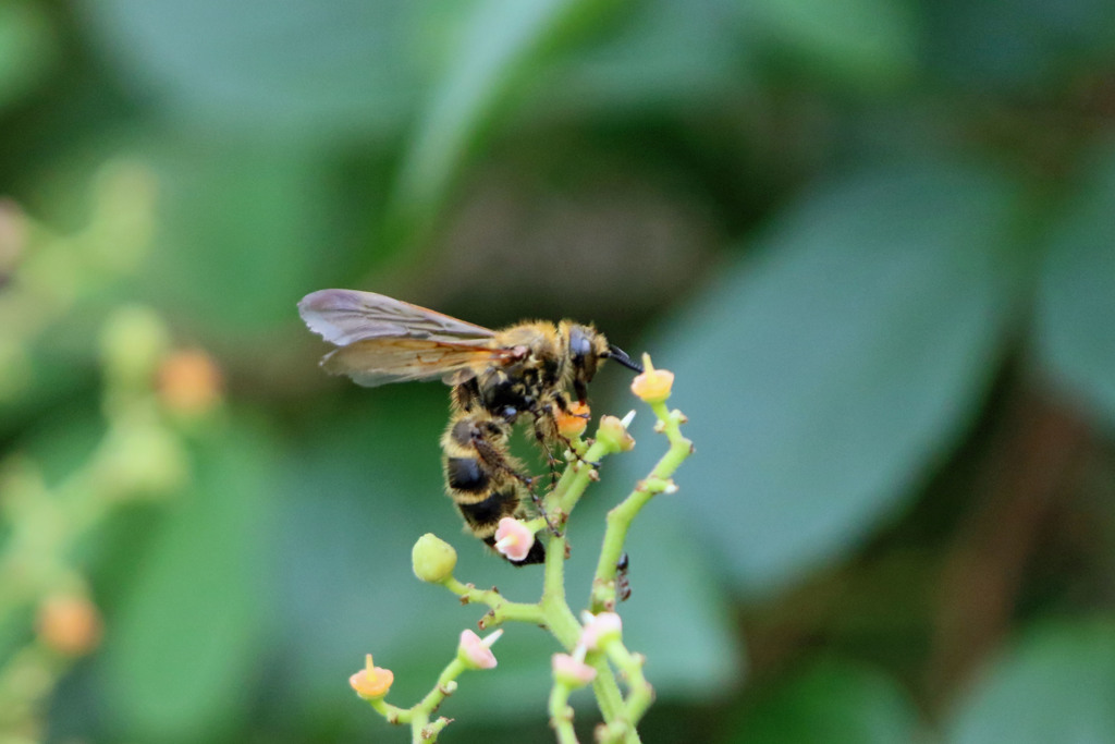 花粉でいっぱい